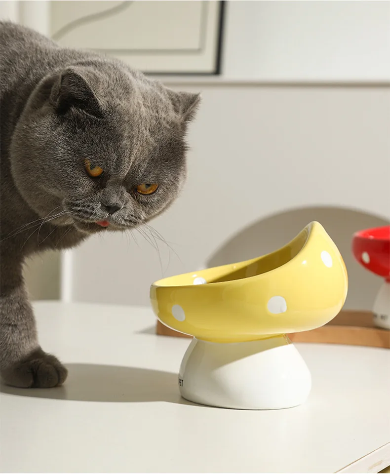 Gamelle chat surélevée style champignon en céramique antidérapante