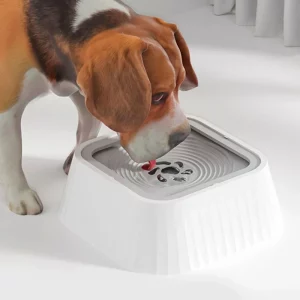 Petite fontaine à eau chien automatique anti-éclaboussures