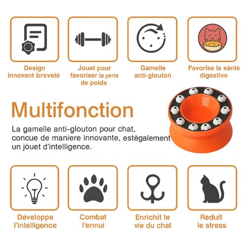 Gamelle Anti-Glouton Éducative – Chat Heureux et Stimulé
