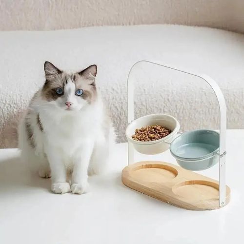 Gamelle Chat Surélevée en Céramique avec Support Bois – 1 Bol Incliné 300ml