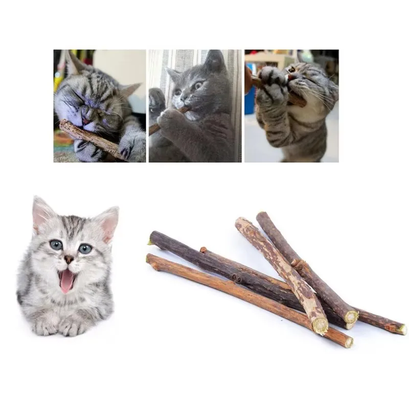 Pack 20x Bâtons Matatabi Herbe à Chat – Jeu, Relaxation & Hygiène Dentaire