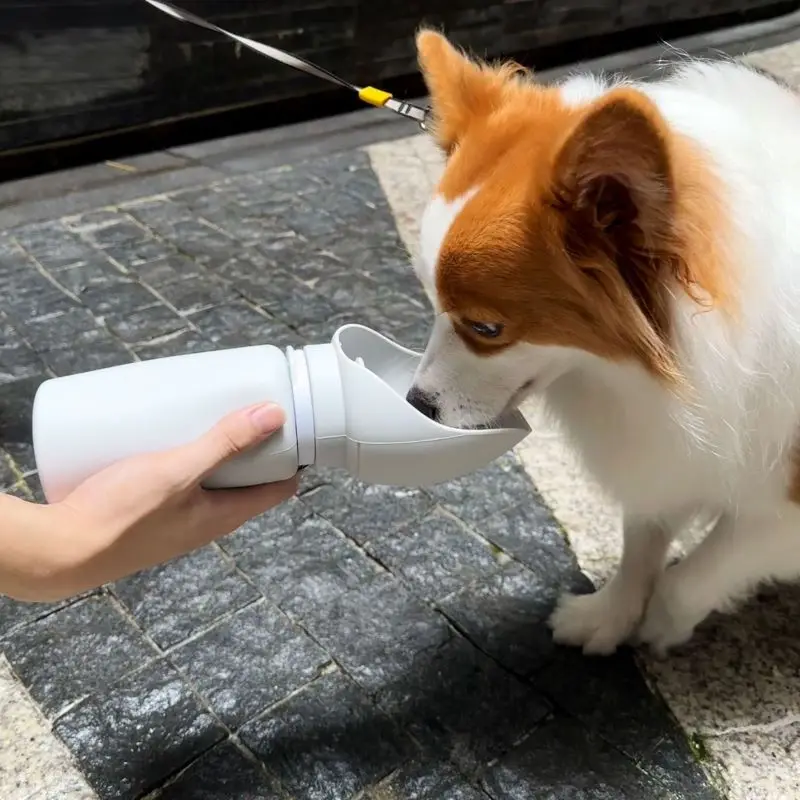Gourde pour Chien 550ml - Portable et Pliable