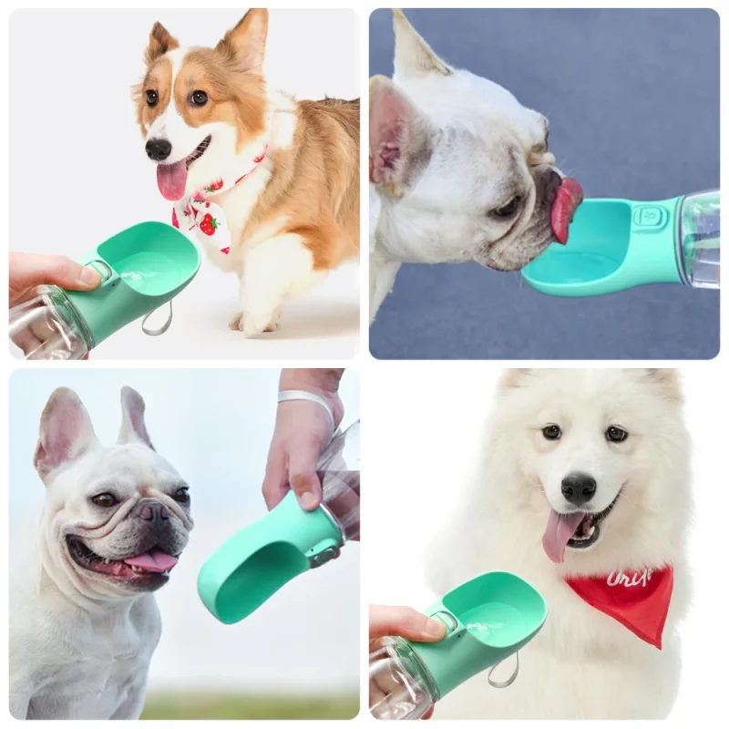 Gourde pour Chien Portable Pratique 550 ml