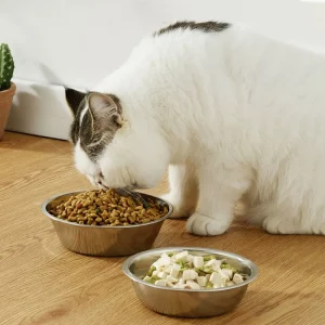 Gamelle en Acier Inoxydable pour Chiens & Chats – Tailles S à XXL