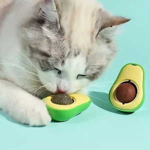 Avocat Ludique à l’Herbe à Chat
