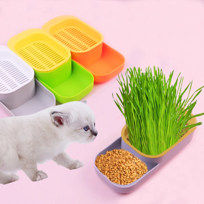 Gamelle Chat Double Usage – Bol de Nourriture et Herbe à Chat Intégrée
