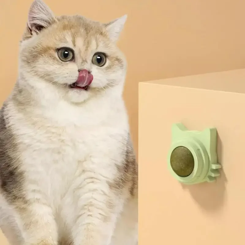 Boule à Herbe à Chat Murale – Jouet Léchable Relaxant