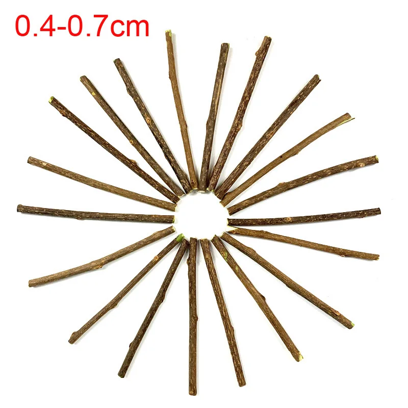 Bâtonnets d’herbe à chat Matatabi & Silvervine – 100 pièces
