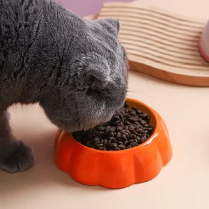 Gamelle chat fruitée en céramique – design fun et vitaminé